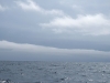 summercabincruise293
