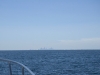 summercabincruise339