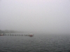 fireislandfog